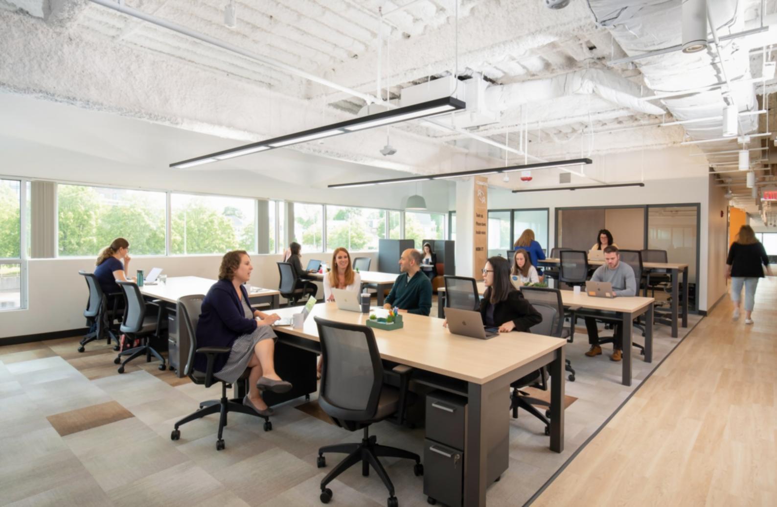 Detaillierte Kursübersicht und Curriculum